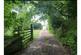 Ruan High Lanes, Truro, TR2 photo 5