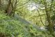 Lot 4: Brockholes Farm Holiday Cottages, Tebay, Penrith, Cumbria, CA10