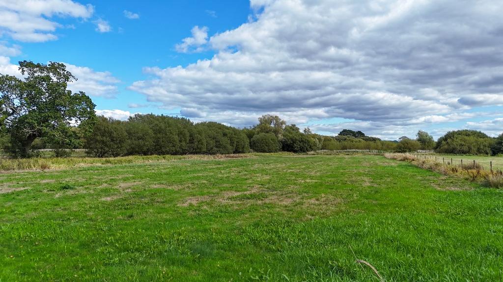 Hampshire Hatches Lane, Moortown, Ringwood, BH24 - More