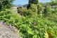 Plot 1 Polvellan Terrace, Looe, Cornwall, PL13 2EB photo 4
