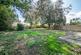 Steventon Gardens, Ludlow photo 2