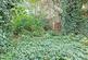 Elm Park, London photo 5