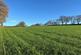 Broadhembury, Honiton, Devon, EX14 photo 3