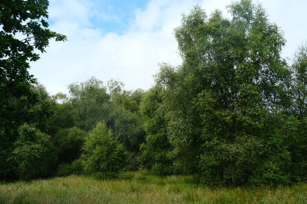 (About Four and a half acres), Standburn, Avonbridge, Falkirk FK1 - View 2