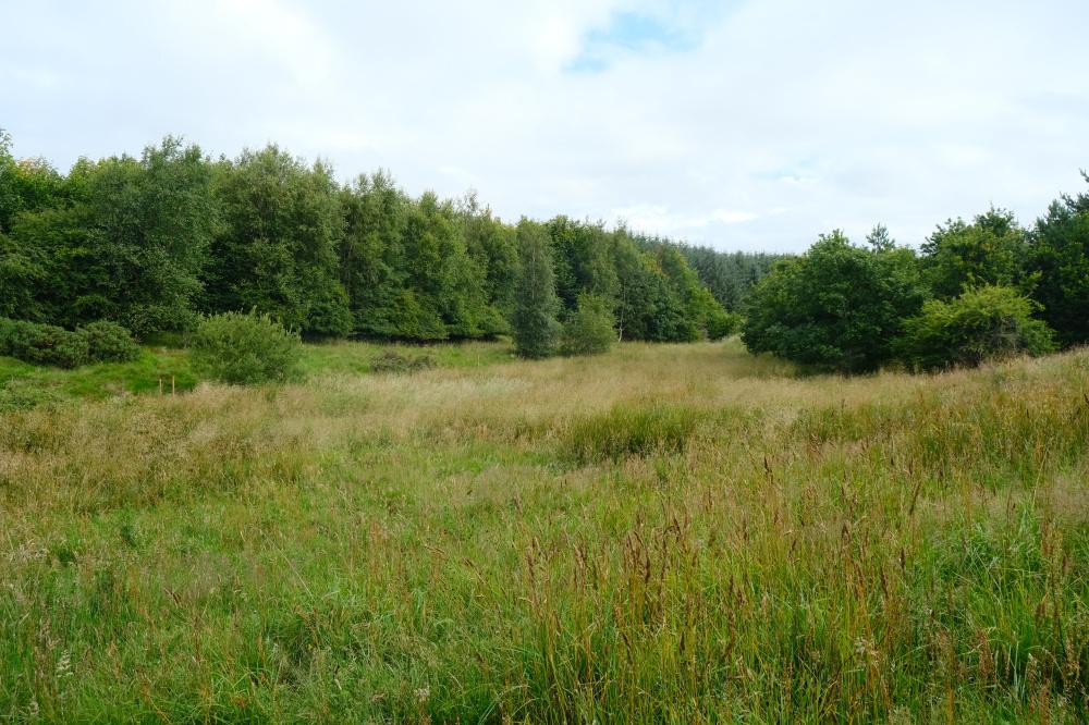 (About Four and a half acres), Standburn, Avonbridge, Falkirk FK1 - View 3