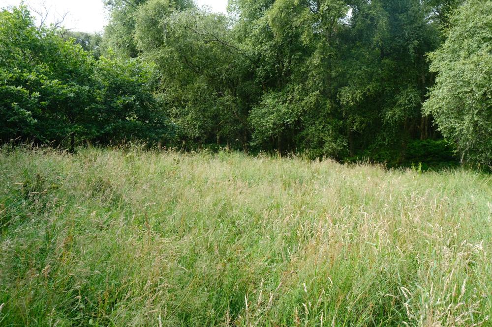 (About Four and a half acres), Standburn, Avonbridge, Falkirk FK1 - View 4