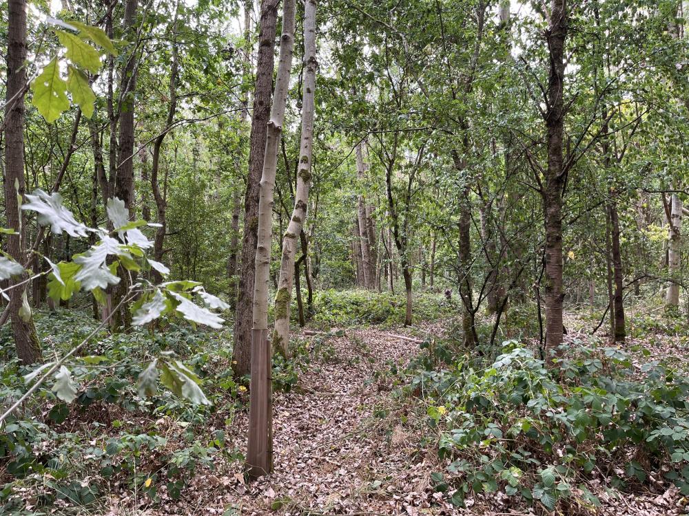 (About Three and a half acres), Bradford On Avon, Wiltshire BA15 - View 4