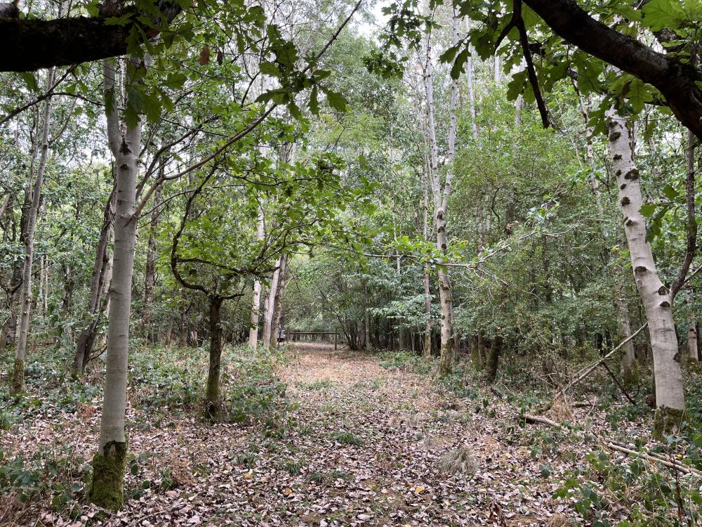 (About Three and a half acres), Bradford On Avon, Wiltshire BA15 - View 5