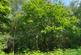 (Four acres), Lamberhurst, near Tunbridge Wells, Kent TN3