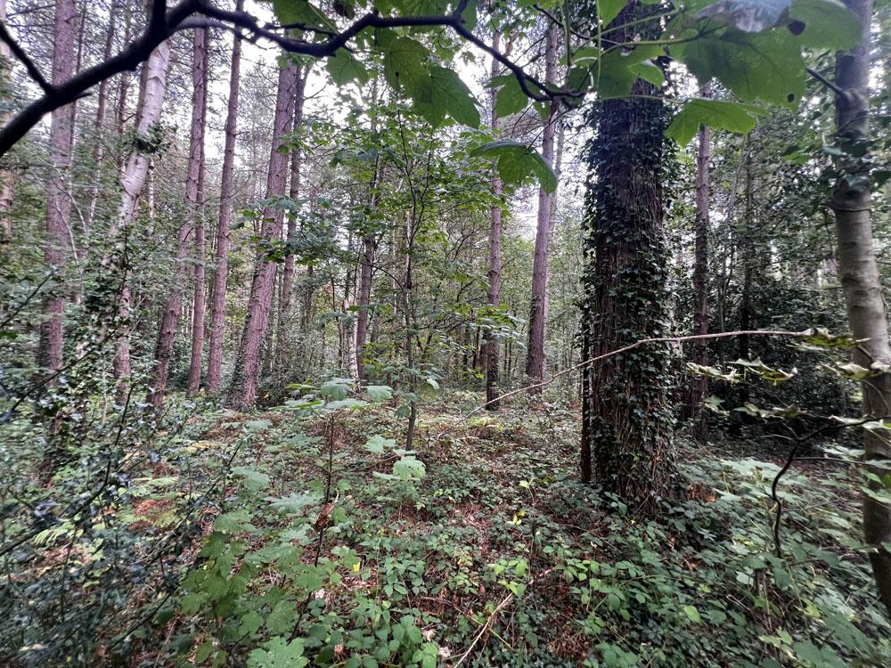 (About Two and Two Third acres), Walton, Near Chesterfield, Derbyshire S42 - View 4