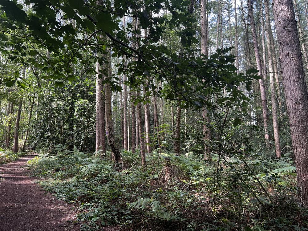 (About Two and Two Third acres), Walton, Near Chesterfield, Derbyshire S42 - View 5