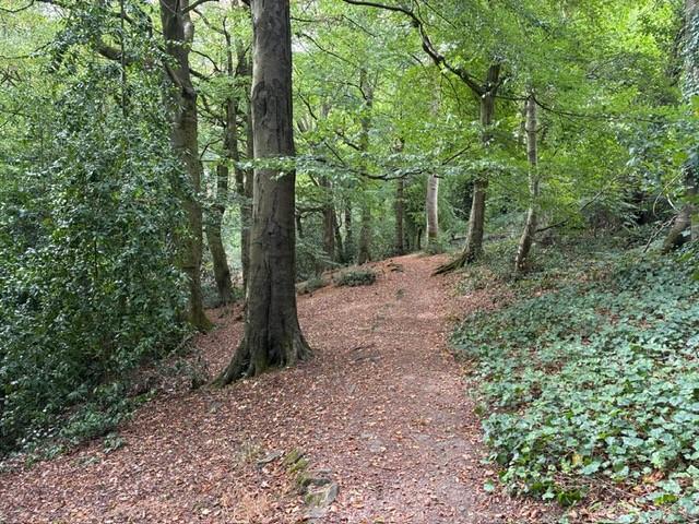 Burn Newhouse and Green Wood, Denby Dale & Upper Cumberworth - View 3