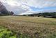 Notter, Saltash photo 5