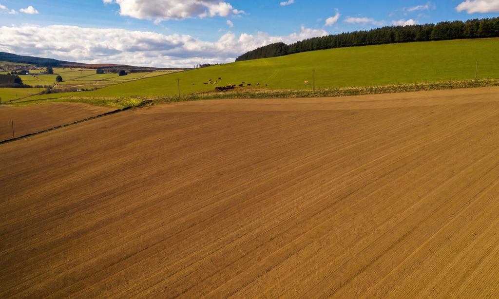 Lot 2 Balchimmy Farm, Cushnie AB33