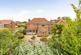 Lime Trees, Staplehurst
