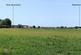 Land lying north west of Pius Drove, Pius Drove, Upwell, Norfolk, PE14 9AL
