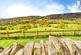 Addersgate Lane, Northowram, Halifax photo 4