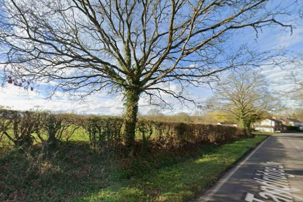 Lagham Lodge Farm BWQ35, Tandridge Lane, Lingfield RH7 - View 3