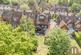 High Brow, Harborne, Birmingham, B17 photo 3