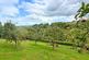 The Lonk, Berry Hill, GL16 photo 3