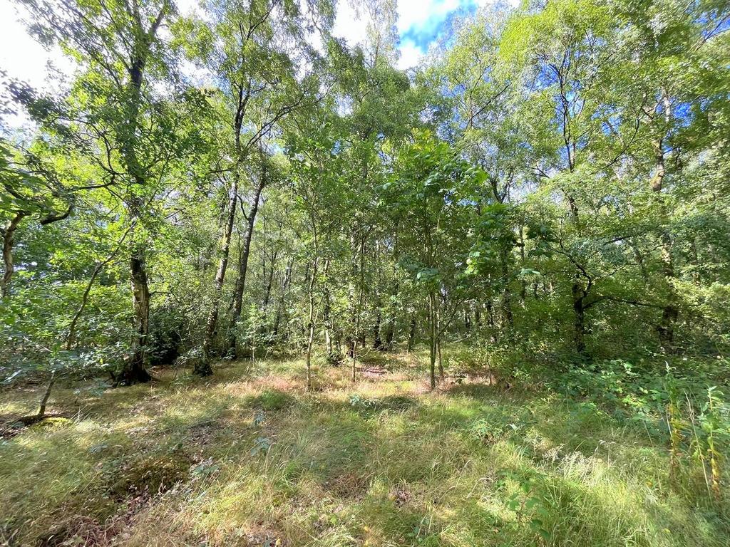 Llwyn Lane, Rhayader - View 4