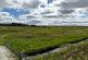 Watten KW1 photo 4