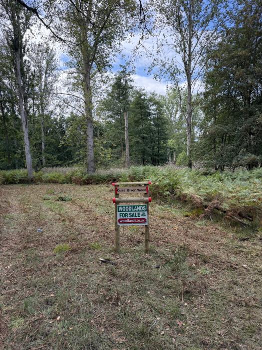 (Nearly Six acres), Riddlesworth, Thetford, Norfolk IP22