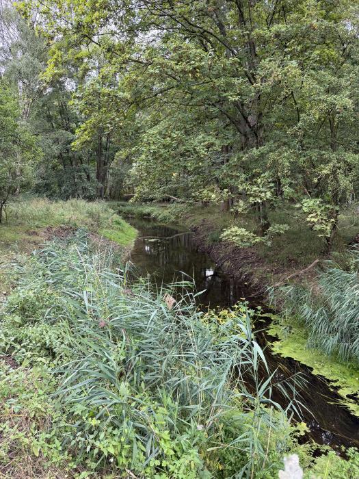 (Nearly Six acres), Riddlesworth, Thetford, Norfolk IP22 - View 3