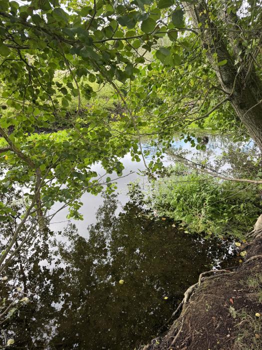(Nearly Six acres), Riddlesworth, Thetford, Norfolk IP22 - View 5