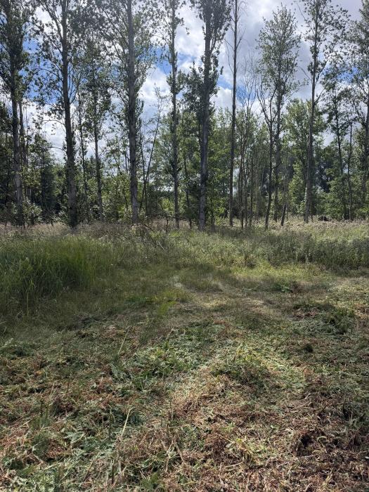 (Nearly Six acres), Riddlesworth, Thetford, Norfolk IP22 - More