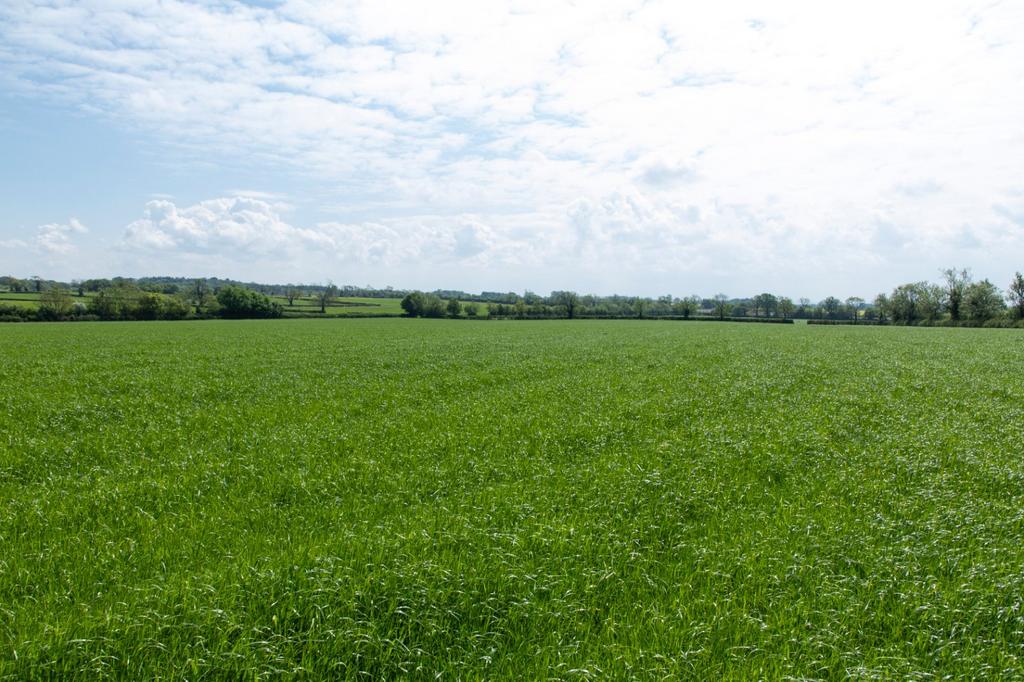 Barnsley, Cirencester, Gloucestershire, GL7 - View 2