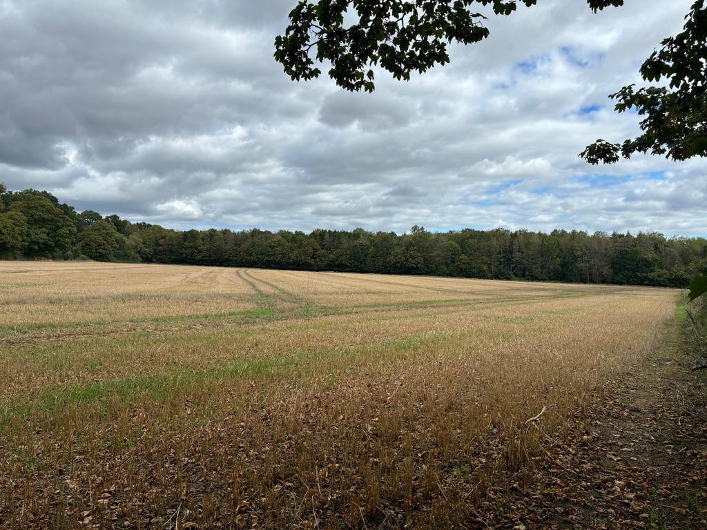 Barnsley, Cirencester, Gloucestershire, GL7 - View 5