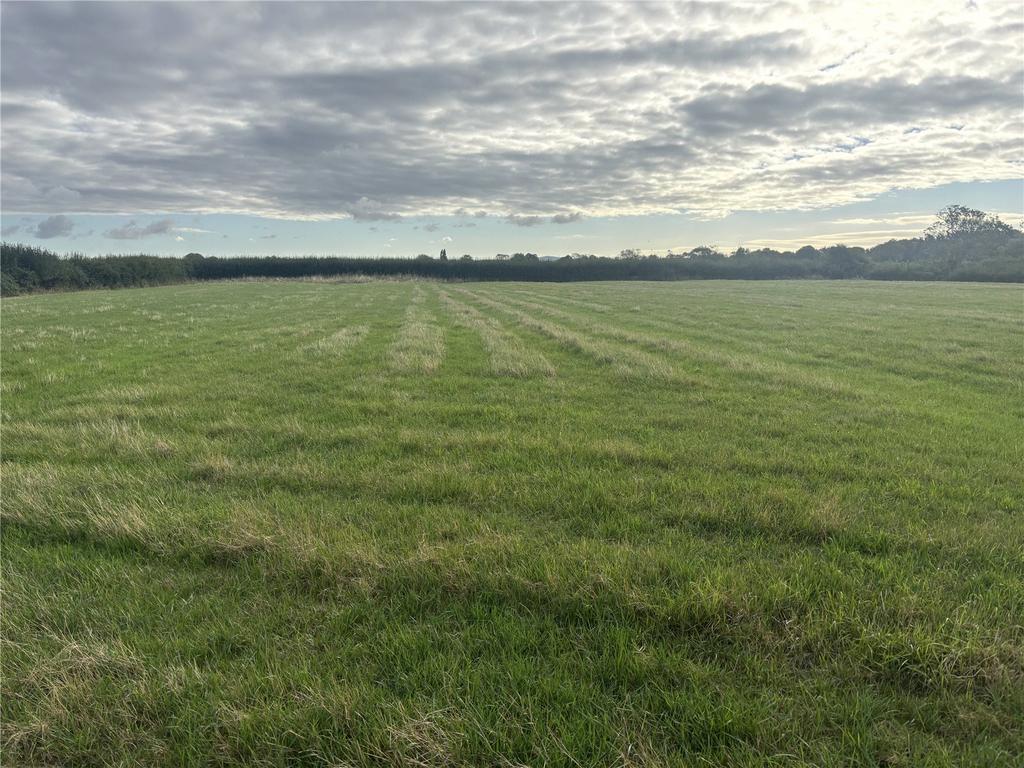 Land