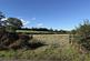 Nether Lane, Burntwood photo 3