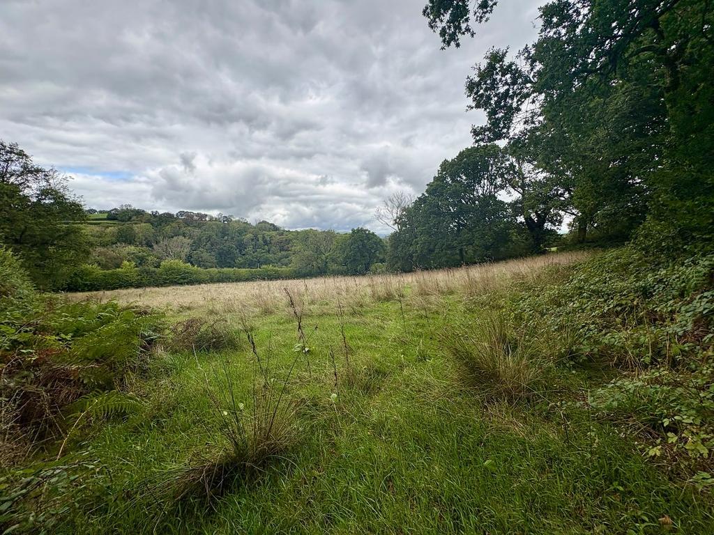 House in Llanarthne, Llanarthney - View 3