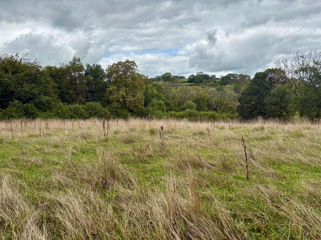 House in Llanarthne, Llanarthney - View 4