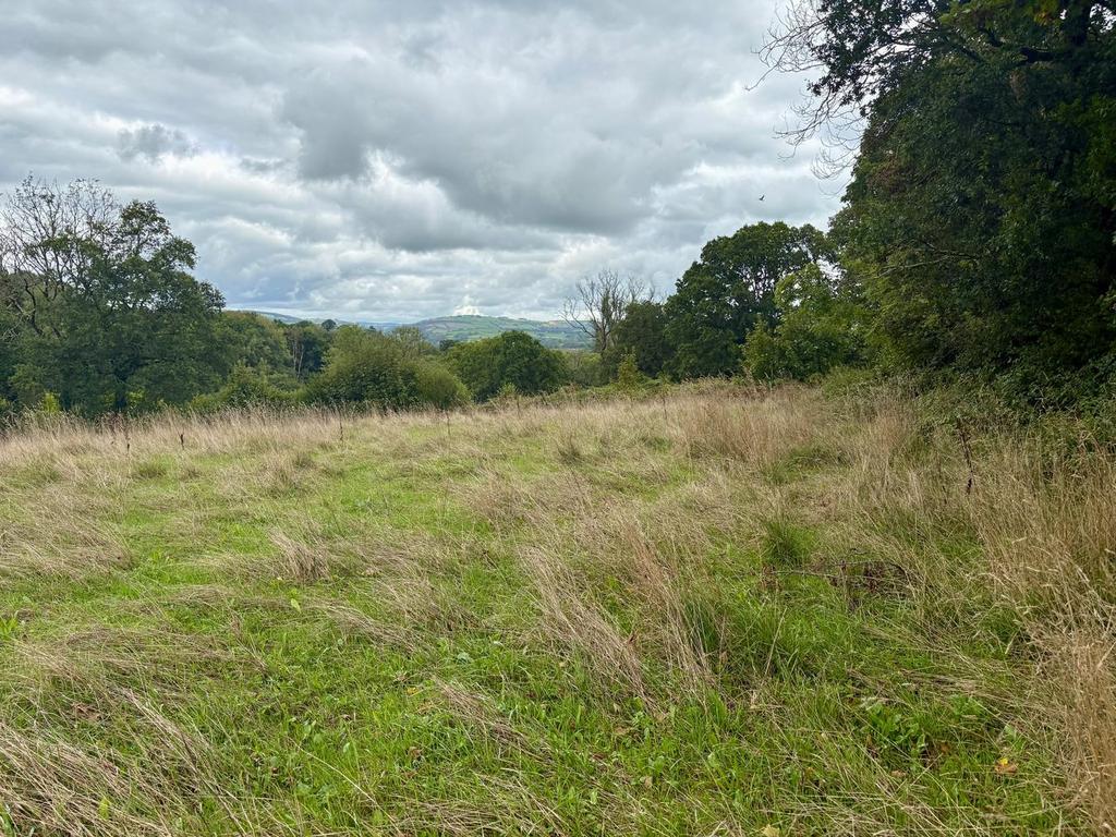 House in Llanarthne, Llanarthney - View 5