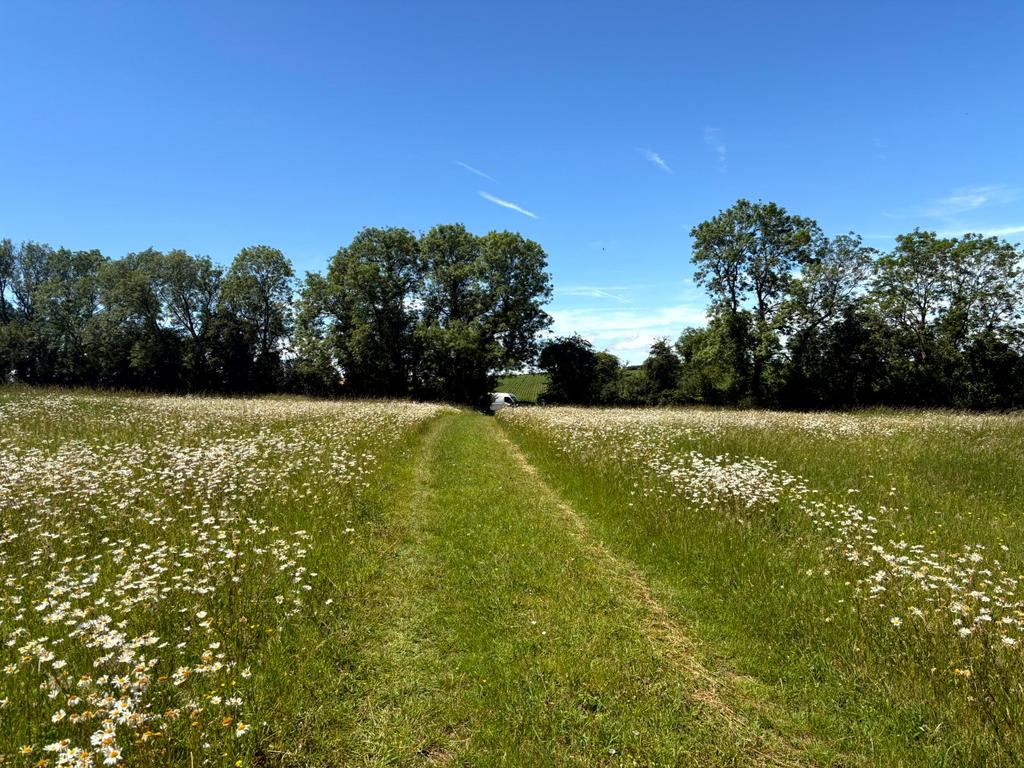Hook Norton, Banbury, Oxfordshire, OX15 - View 4