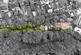 Eastwick Close, Patcham, Brighton photo 2