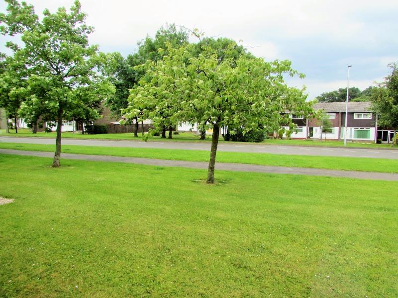 Apartment in East Kilbride - View 2