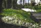 Old Rectory Gardens, Longborough GL56 photo 3