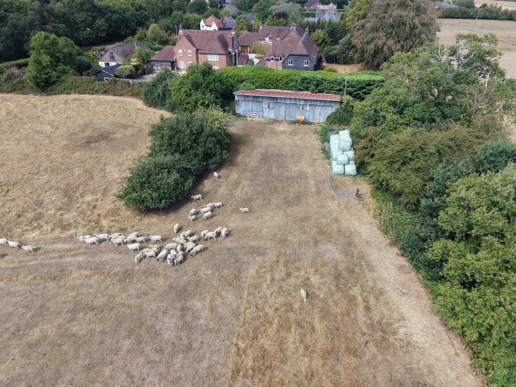 Petersfield Road, Froxfield, GU32 - View 5