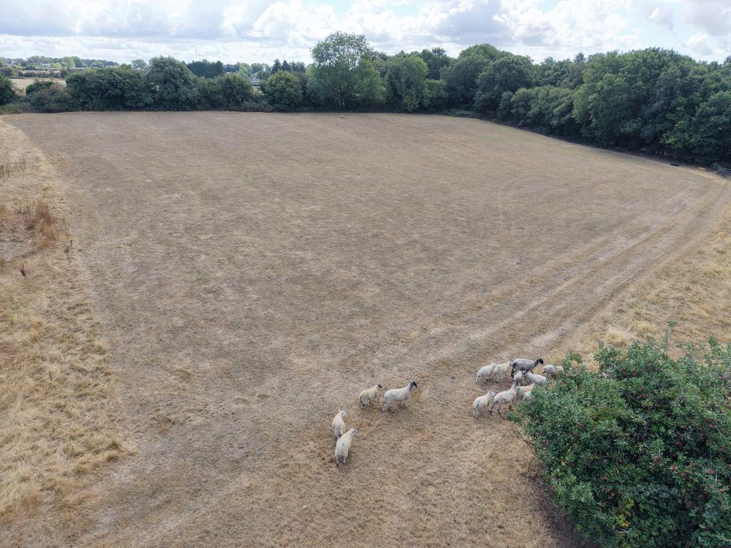 Petersfield Road, Froxfield, GU32 - More