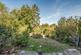 Lavender Hill, Enfield photo 2