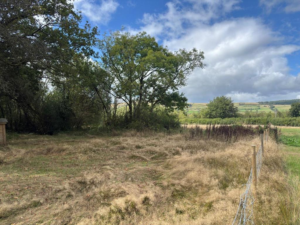 Gwynfe, Llangadog SA19 - View 5