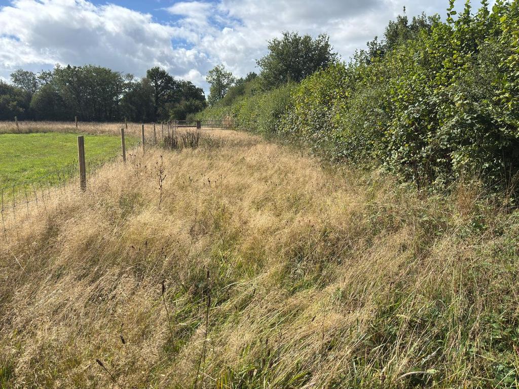 Gwynfe, Llangadog SA19 - More