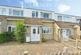 Edinburgh Gardens, Braintree, Essex