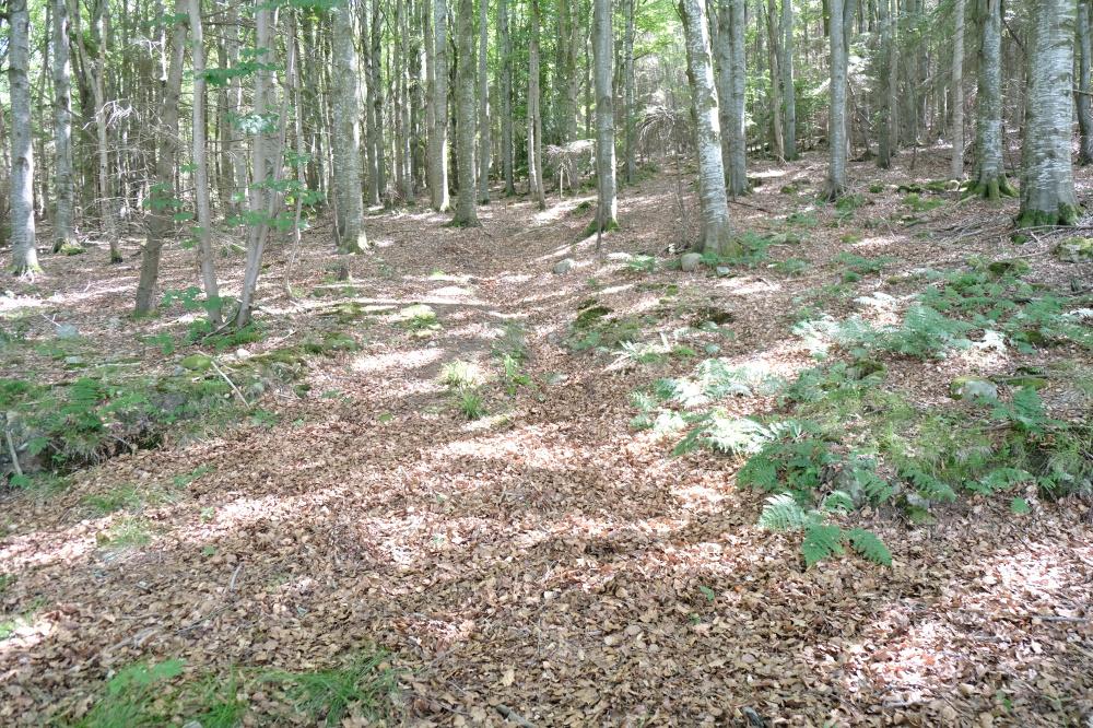 (Nearly Five and One quarter acres), Durris, Banchory, Aberdeenshire AB31 - View 2