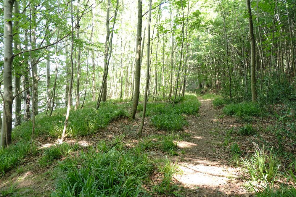 (Nearly Five and One quarter acres), Durris, Banchory, Aberdeenshire AB31 - View 3