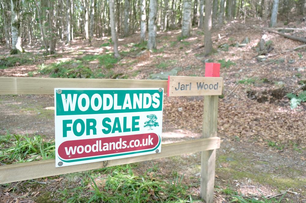 (Nearly Five and One quarter acres), Durris, Banchory, Aberdeenshire AB31 - View 4